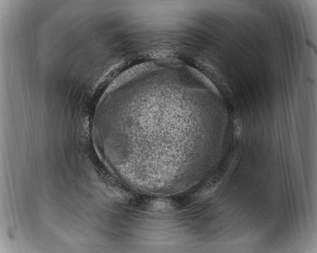 X0000099480308200806061252