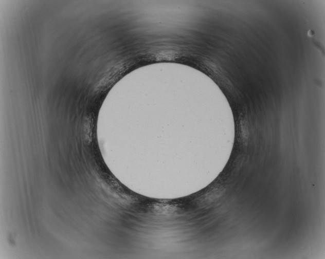 X0000099480311200806061251