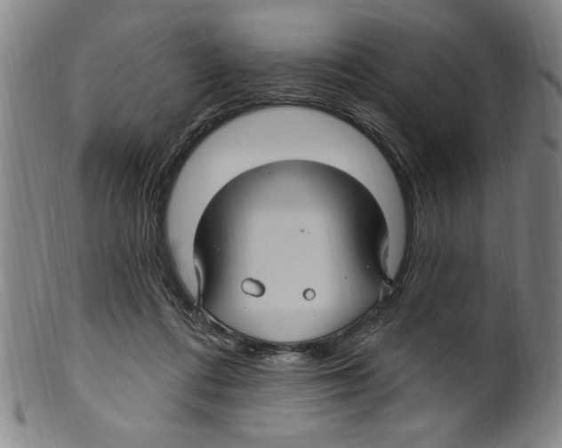 X0000099480312200806061251