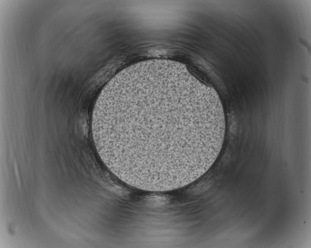 X0000099480313200806061251