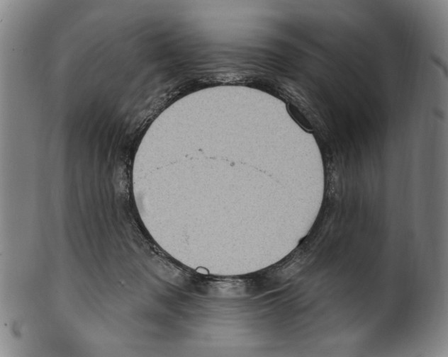 X0000099480317200806061251