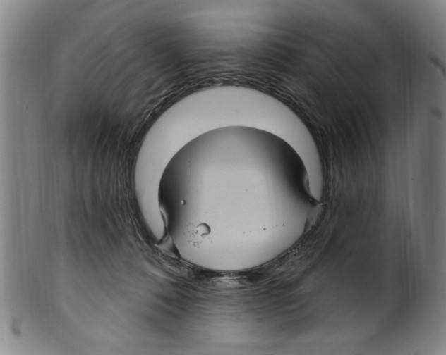 X0000099480320200806061251