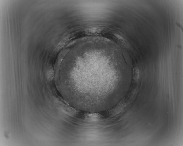 X0000099480324200806061251