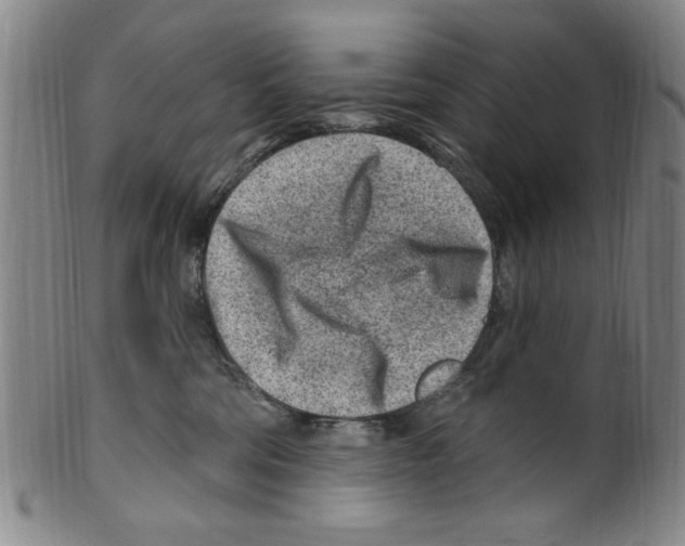 X0000099480330200806061251