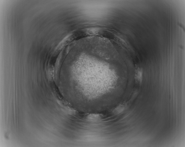 X0000099480332200806061251