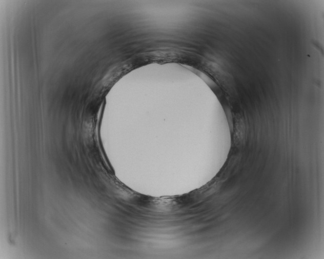 X0000099480333200806061251