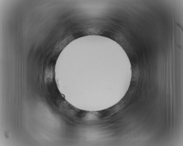 X0000099480334200806061251