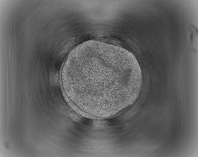 X0000099480336200806061251