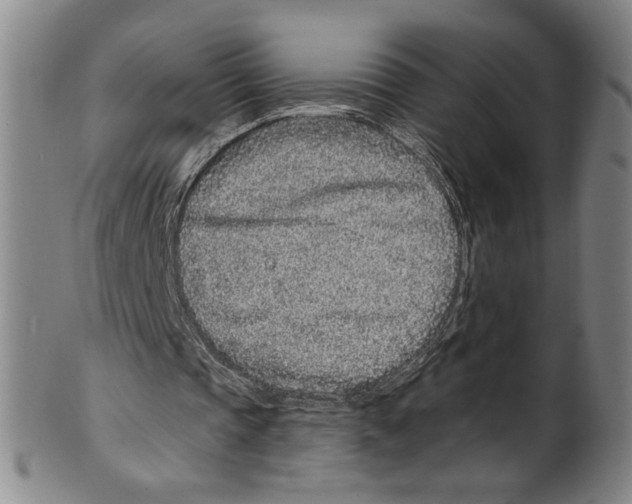 X0000099480337200806061250
