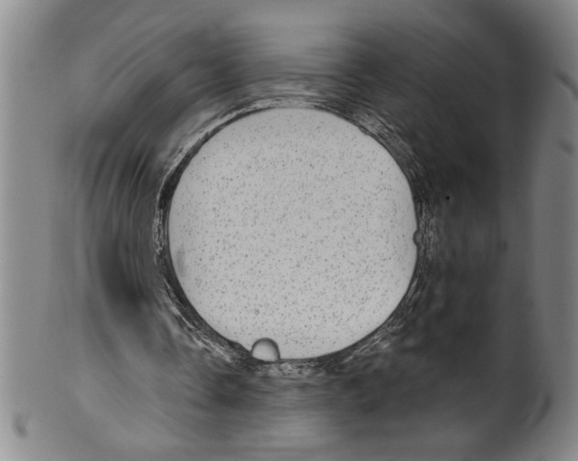 X0000099480338200806061250