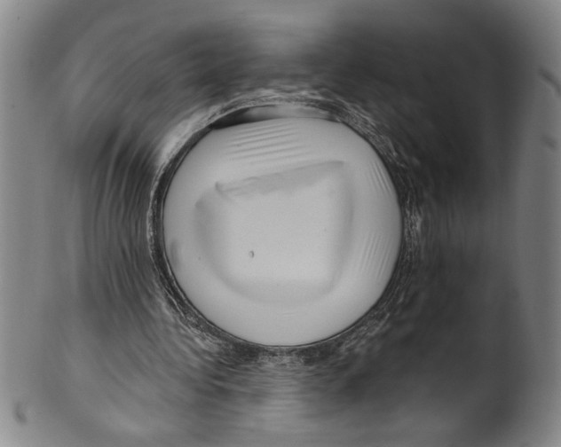 X0000099480340200806061251