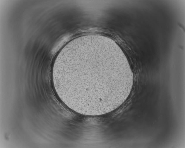 X0000099480341200806061251