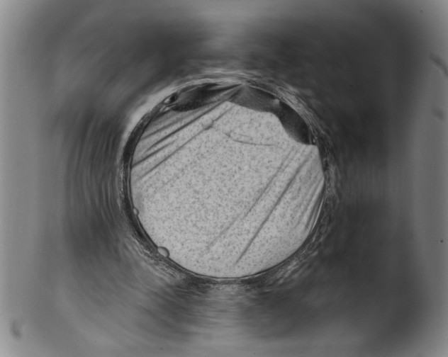 X0000099480342200806061251