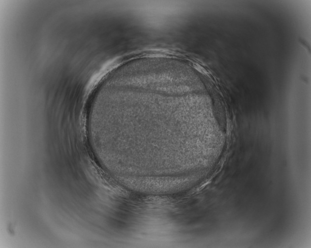 X0000099480343200806061251