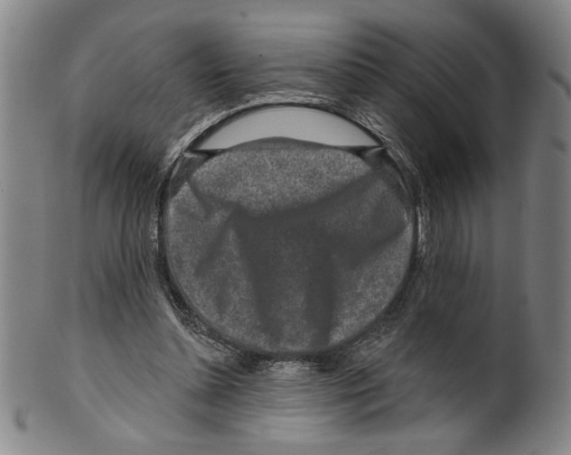 X0000099480348200806061251