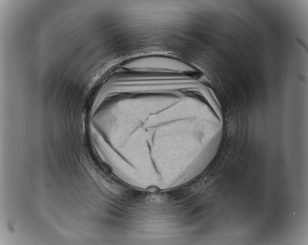 X0000099480350200806061251