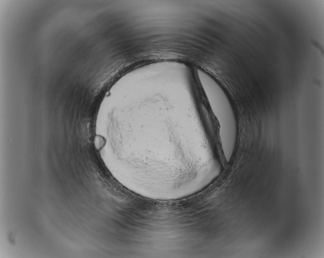X0000099480351200806061251