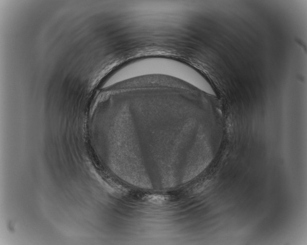X0000099480352200806061251