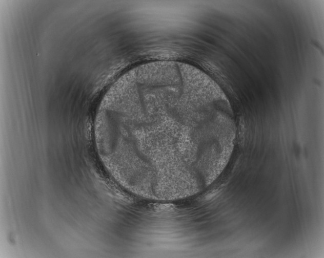 X0000099480355200806061251