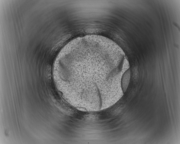 X0000099480356200806061251