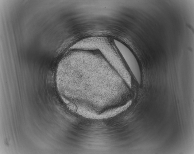 X0000099480357200806061251