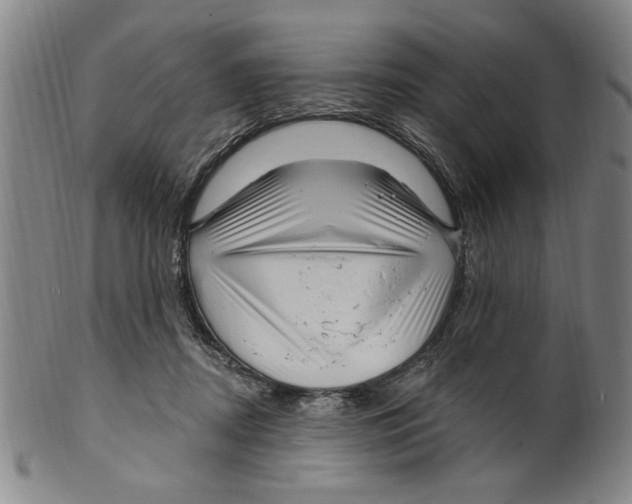 X0000099480362200806061251