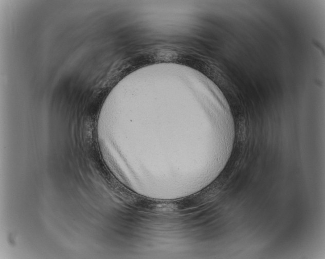 X0000099480363200806061251