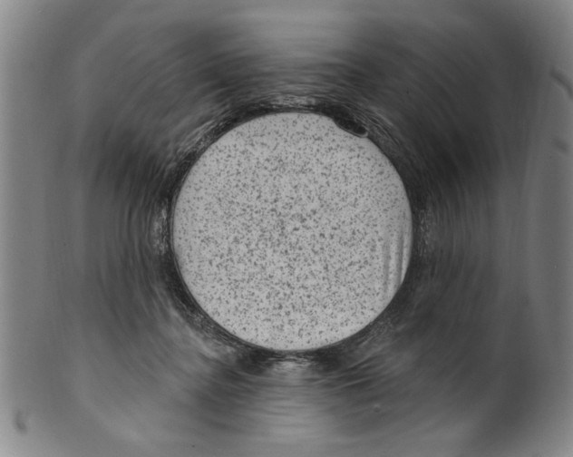 X0000099480364200806061251