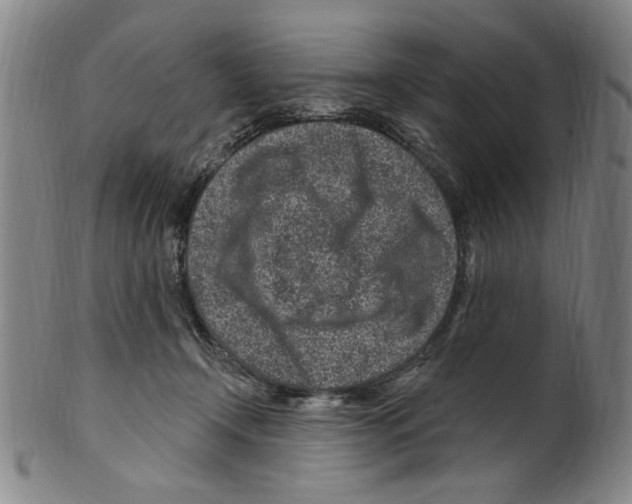 X0000099480366200806061251