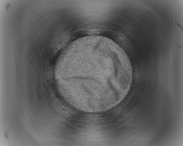 X0000099480367200806061251