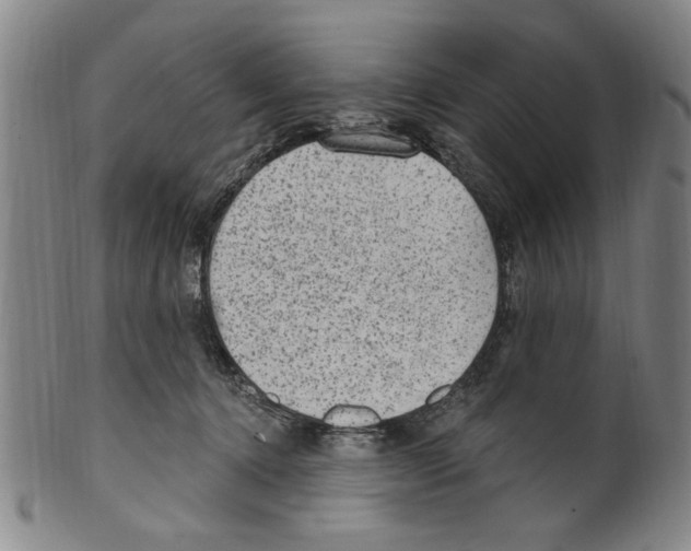 X0000099480368200806061251