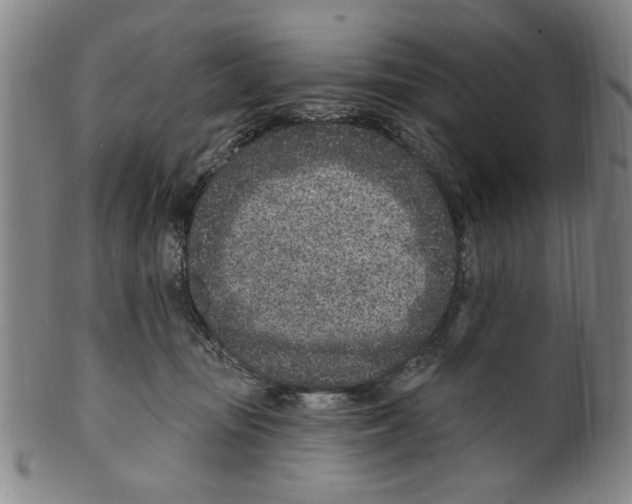 X0000099480371200806061251