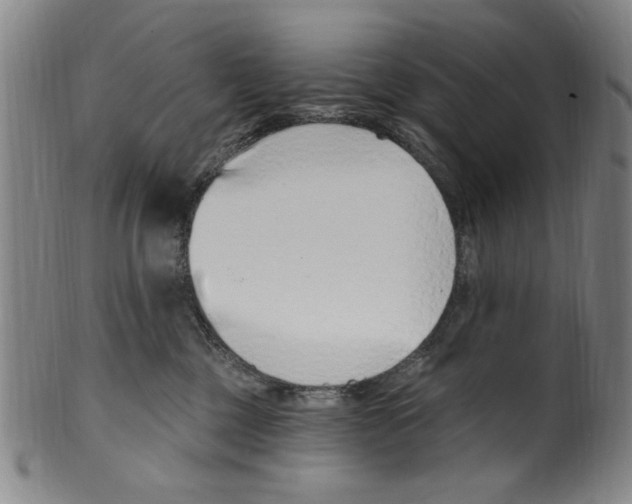 X0000099480377200806061251