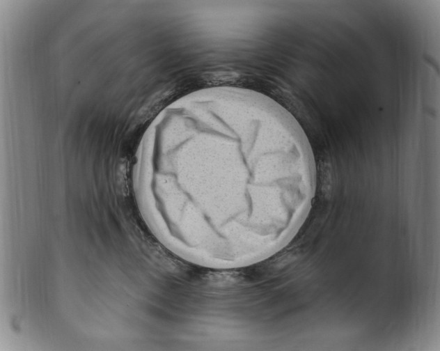 X0000099480378200806061251