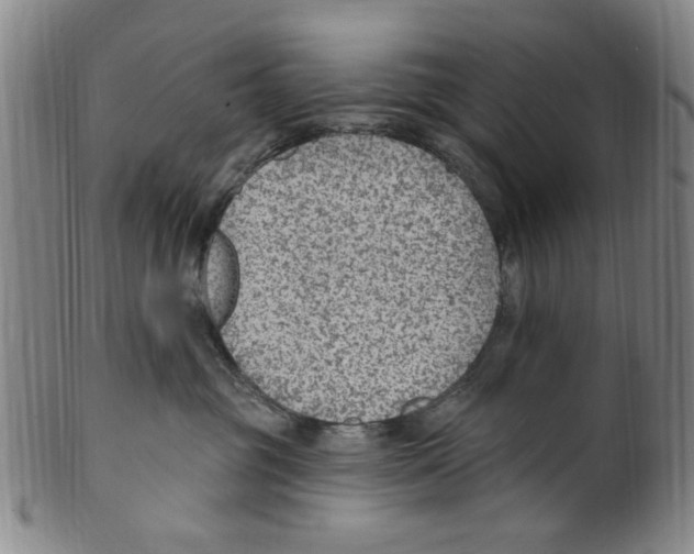 X0000099480381200806061251