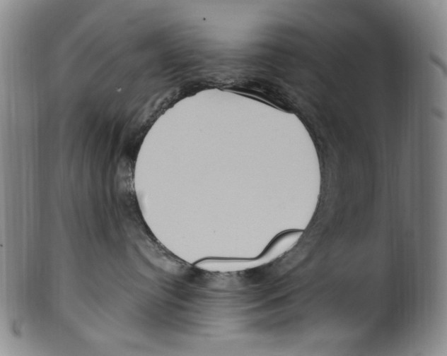 X0000099480384200806061251