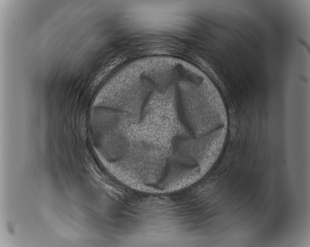 X0000099480386200806061250