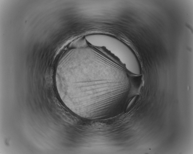 X0000099480387200806061250