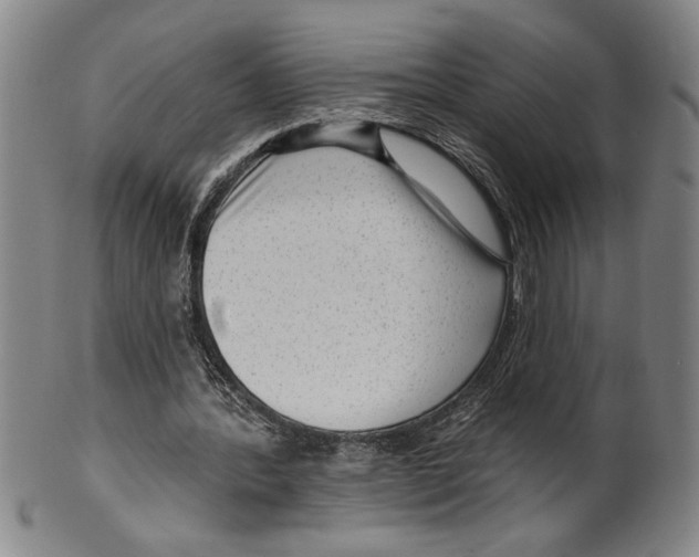 X0000099480388200806061250