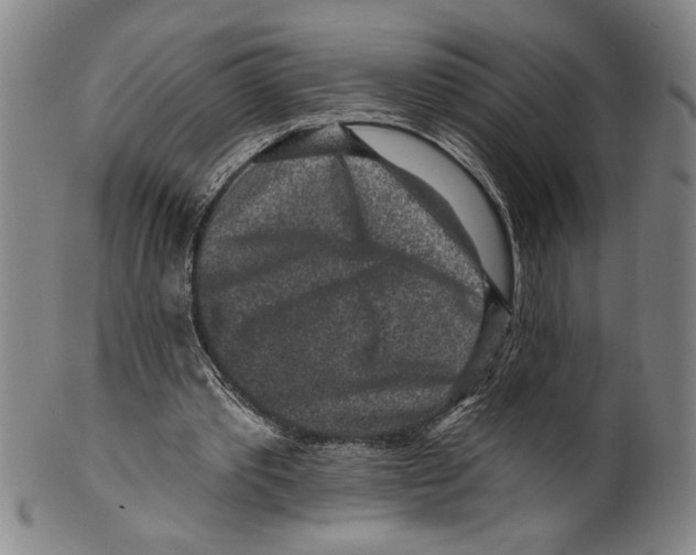 X0000099480389200806061250