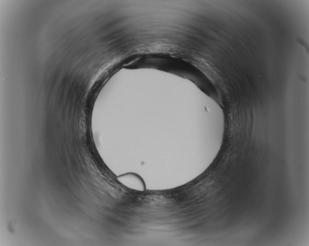 X0000099480392200806061250