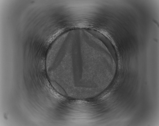 X0000099480393200806061250
