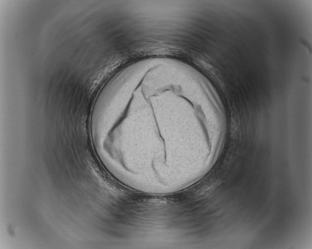 X0000099480394200806061250