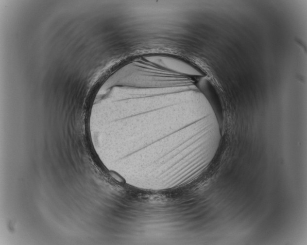 X0000099480395200806061250