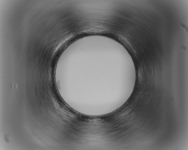 X0000099480396200806061250