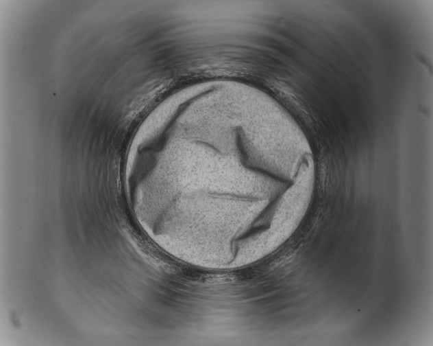 X0000099480398200806061250