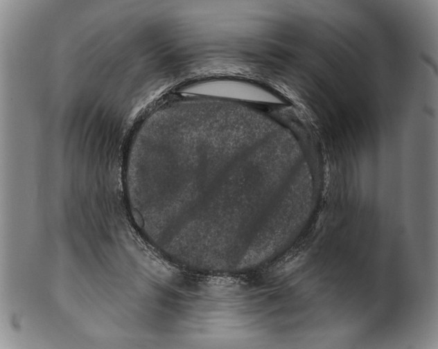X0000099480399200806061250