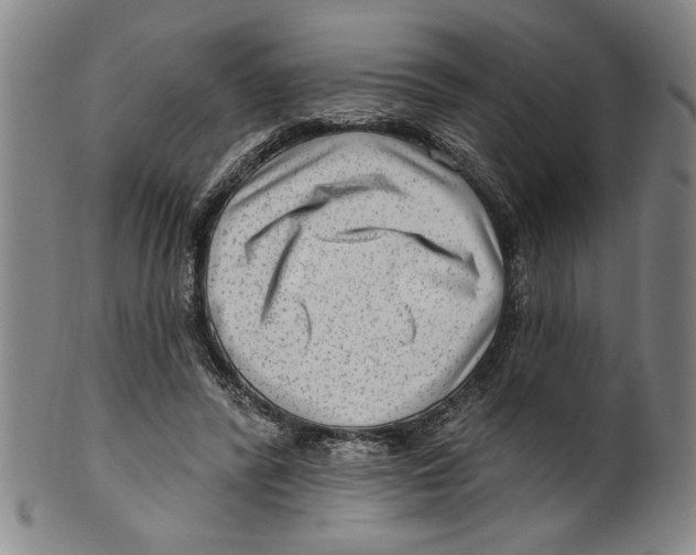 X0000099480400200806061250