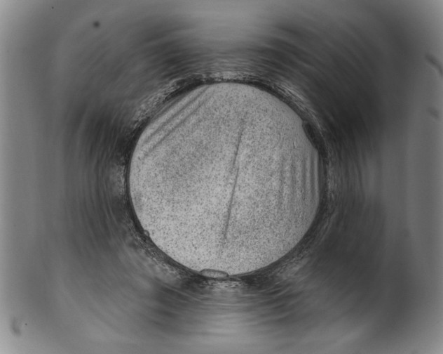 X0000099480401200806061250