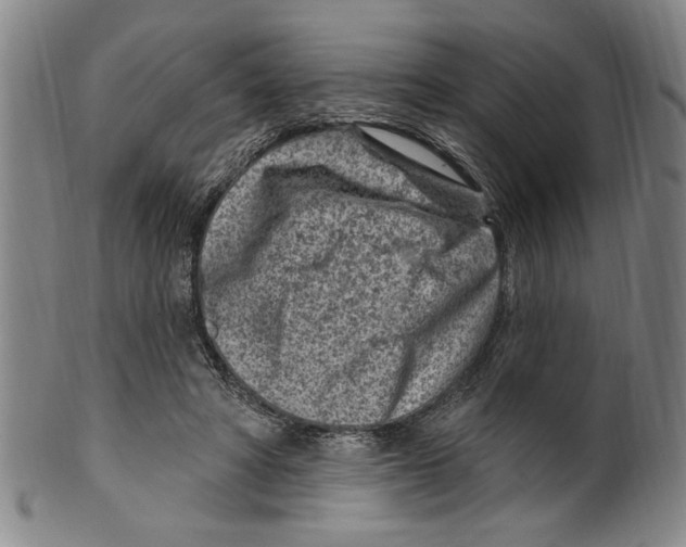 X0000099480402200806061250